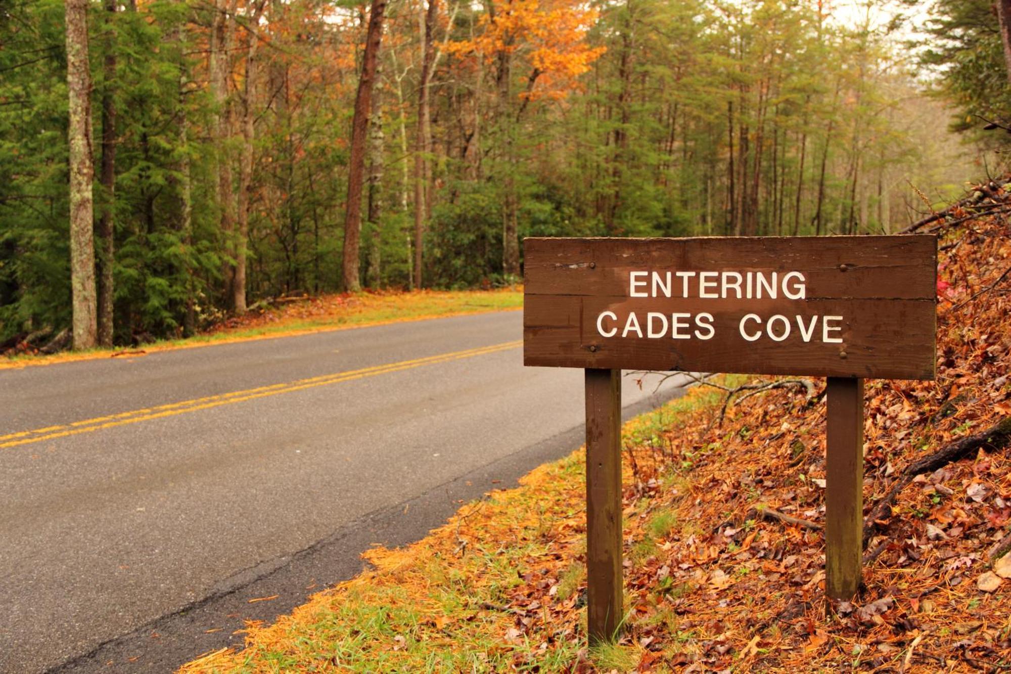 Wilderness Lodge, Hot Tub, Game Room, Pool Access, 1089 Free Tickets Each Paid Day, Dollywood And M Севьервилл Экстерьер фото