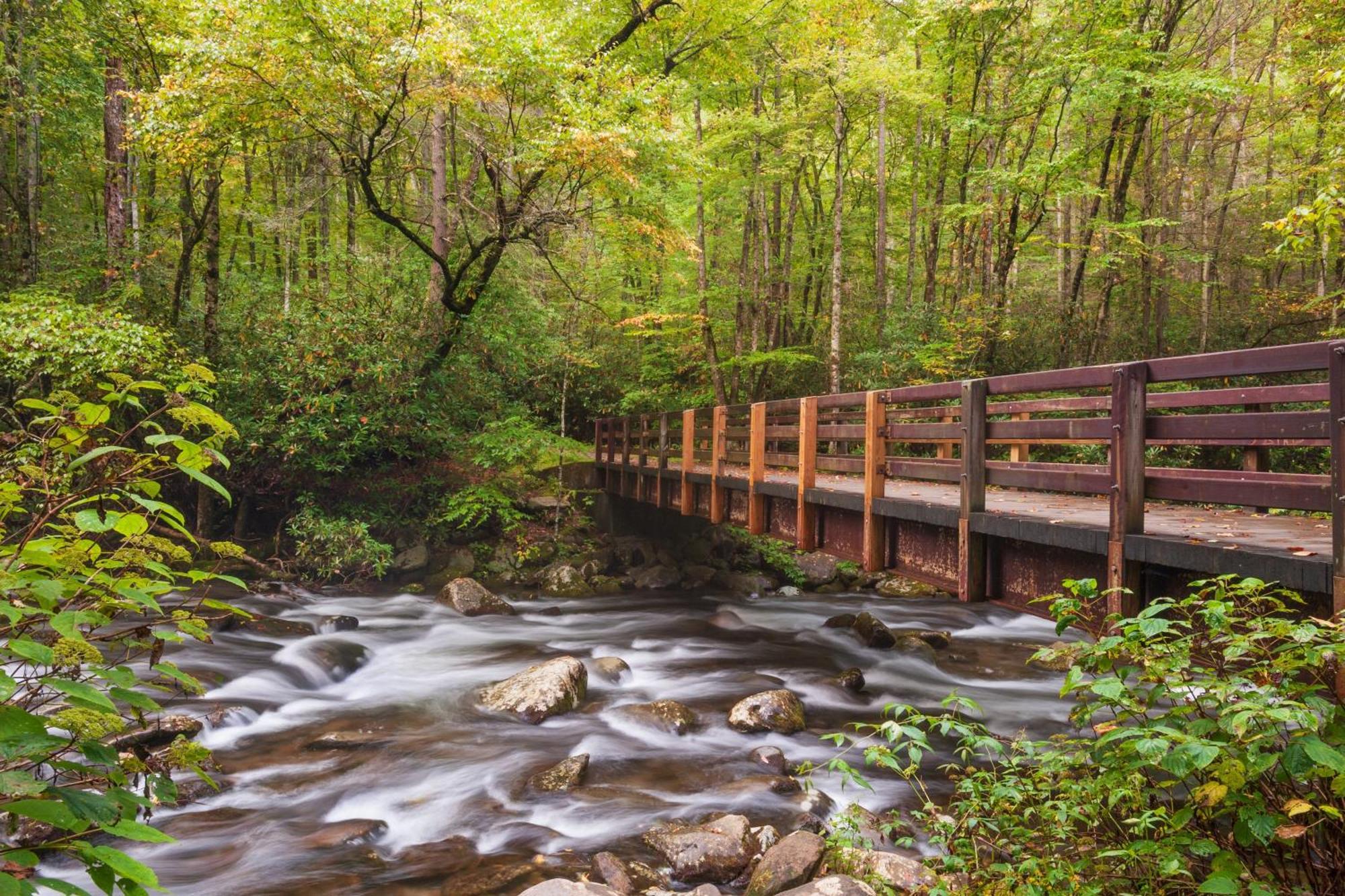 Wilderness Lodge, Hot Tub, Game Room, Pool Access, 1089 Free Tickets Each Paid Day, Dollywood And M Севьервилл Экстерьер фото